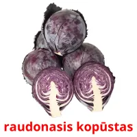 raudonasis kopūstas Bildkarteikarten