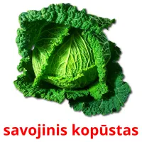 savojinis kopūstas Bildkarteikarten