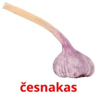 česnakas Bildkarteikarten