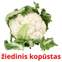 žiedinis kopūstas Bildkarteikarten