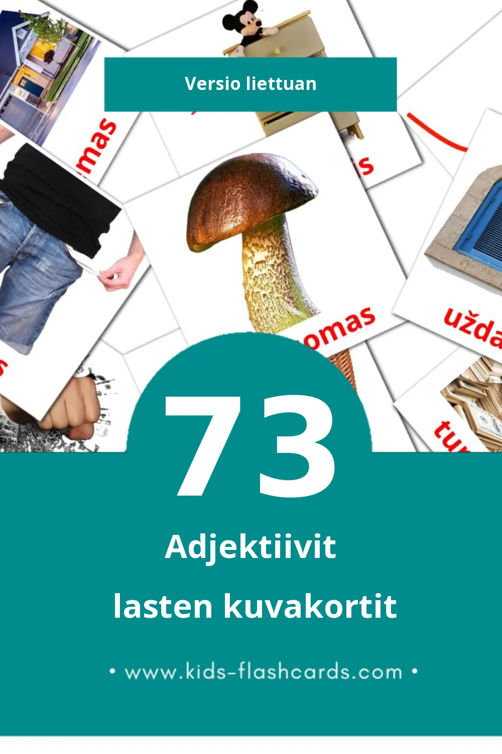 būdvardžiai lasten kuvakortit pikkulapsille (73 korttia Liettuanksi)