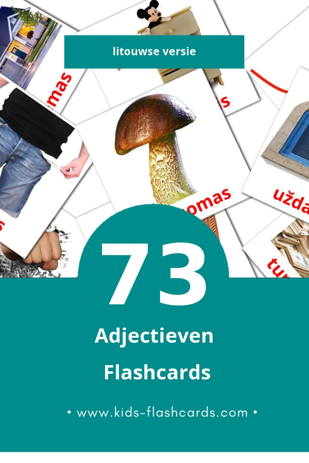 Visuele būdvardžiai Flashcards voor Kleuters (73 kaarten in het Litouws)