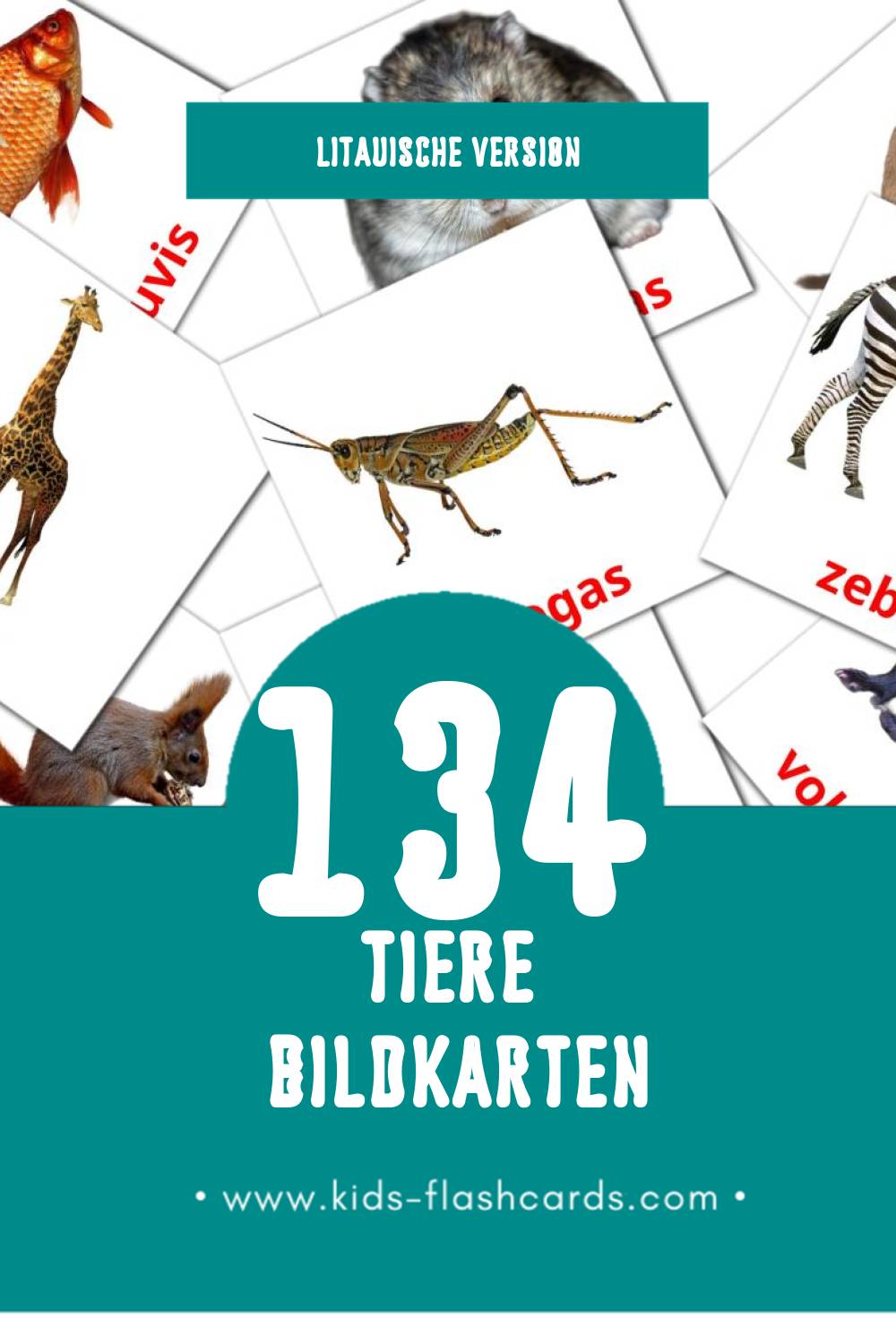 Visual Gyvūnai Flashcards für Kleinkinder (134 Karten in Litauisch)