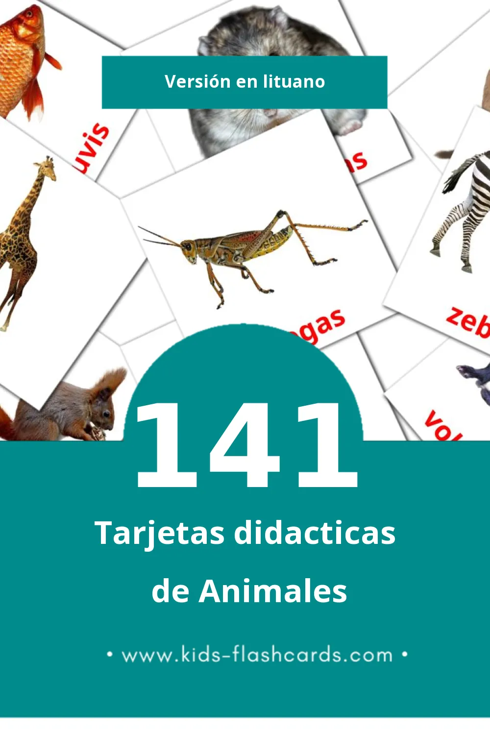 Tarjetas visuales de Gyvūnai para niños pequeños (141 tarjetas en Lituano)