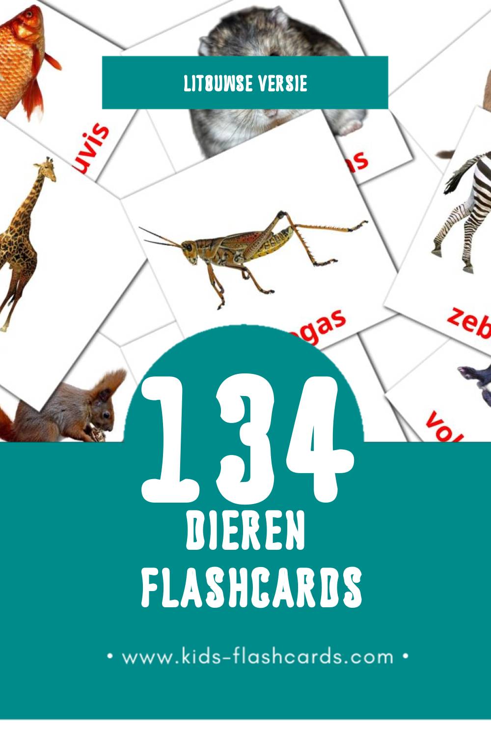 Visuele Gyvūnai Flashcards voor Kleuters (134 kaarten in het Litouws)