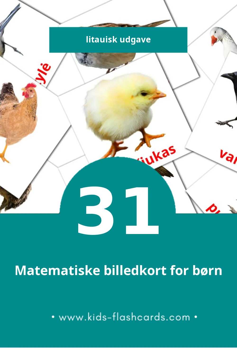 Visuelle billedkort for børn om Paukščiai til småbørn (31 kort på Litauisk)