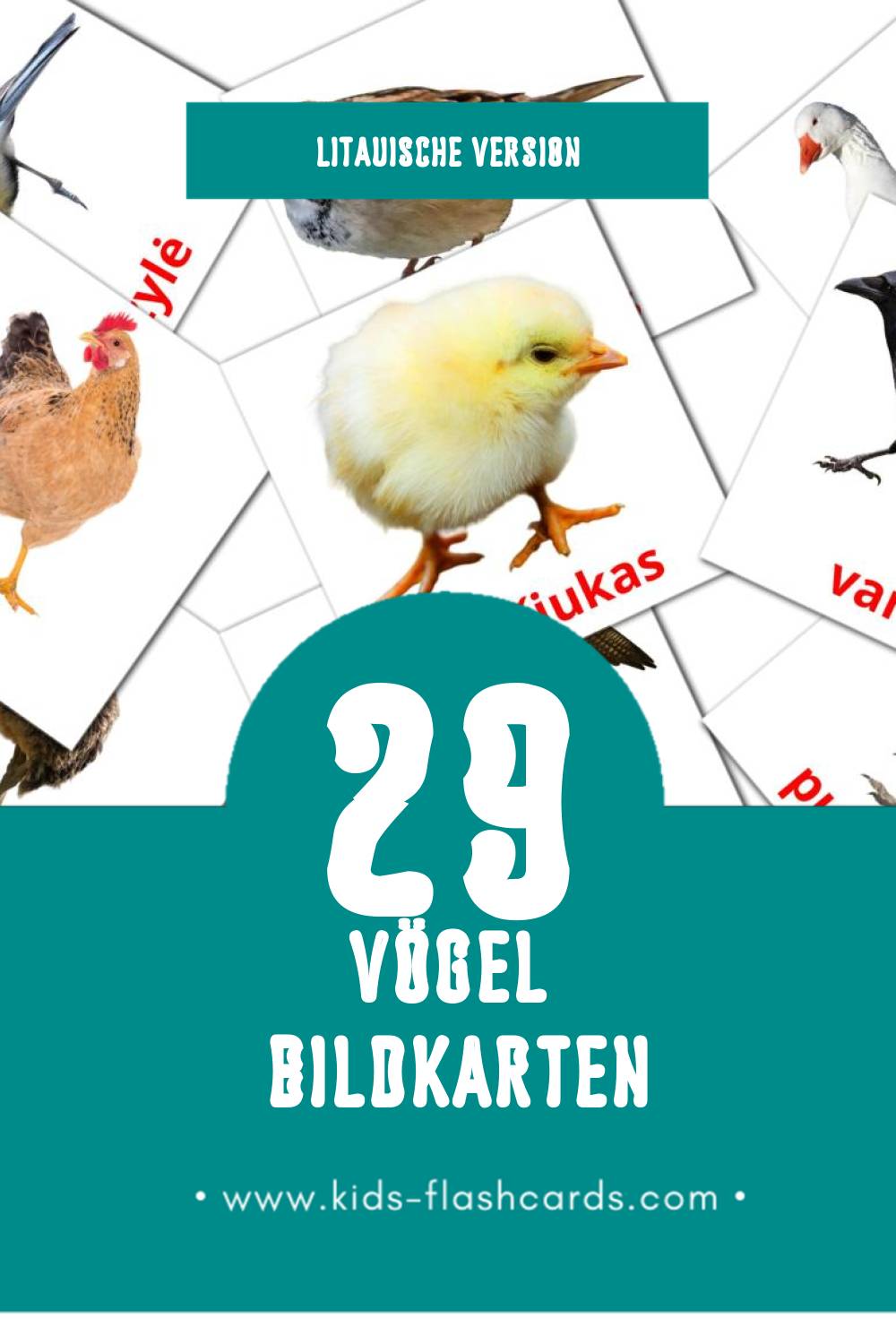 Visual Paukščiai Flashcards für Kleinkinder (29 Karten in Litauisch)