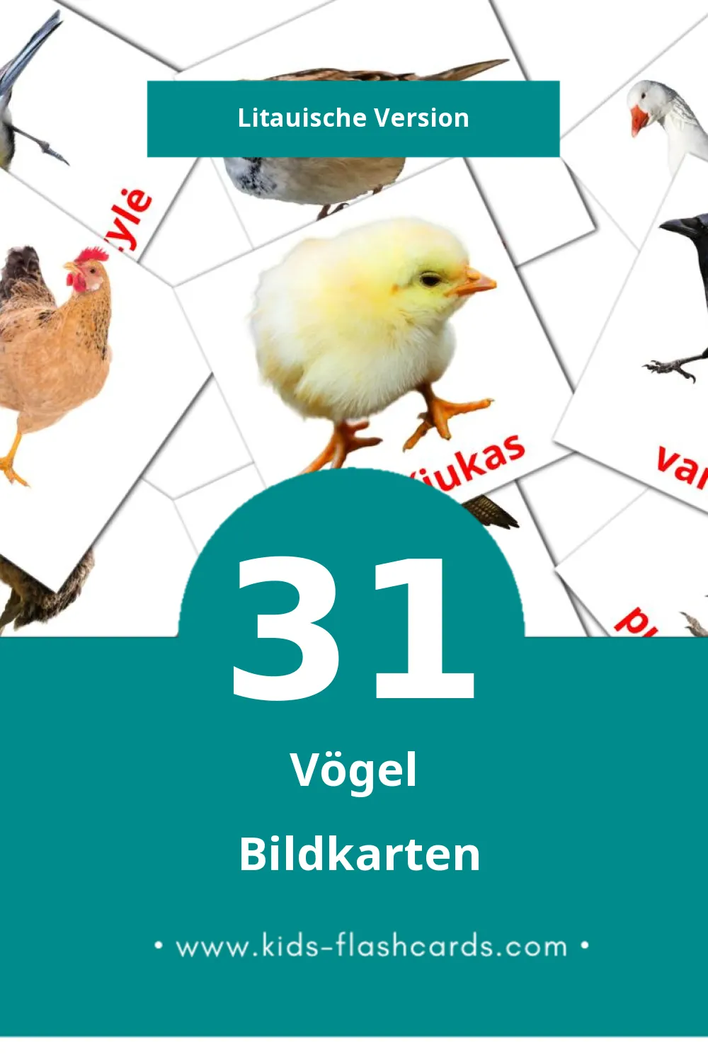 Visual Paukščiai Flashcards für Kleinkinder (31 Karten in Litauisch)