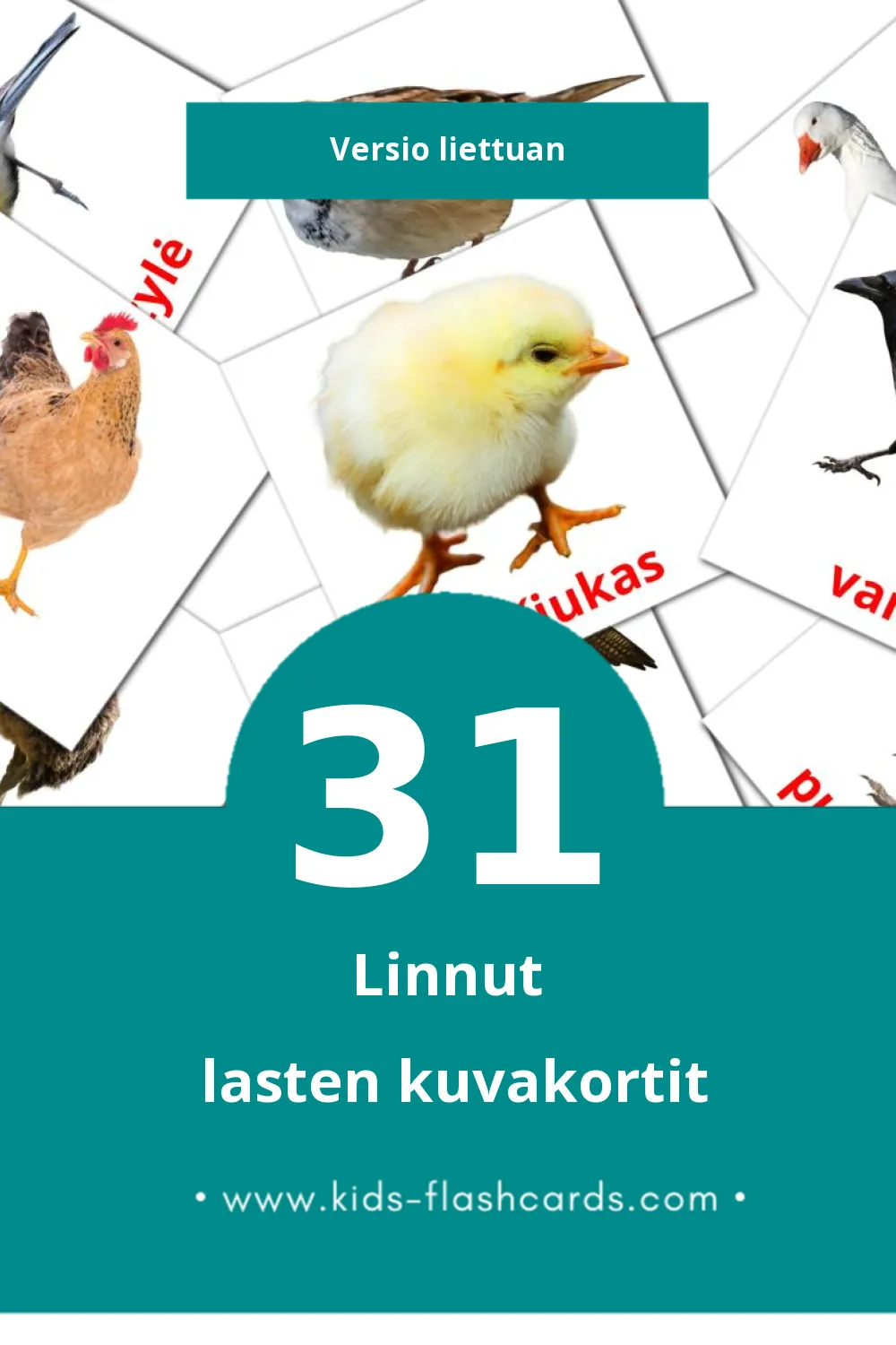 Paukščiai lasten kuvakortit pikkulapsille (31 korttia Liettuanksi)