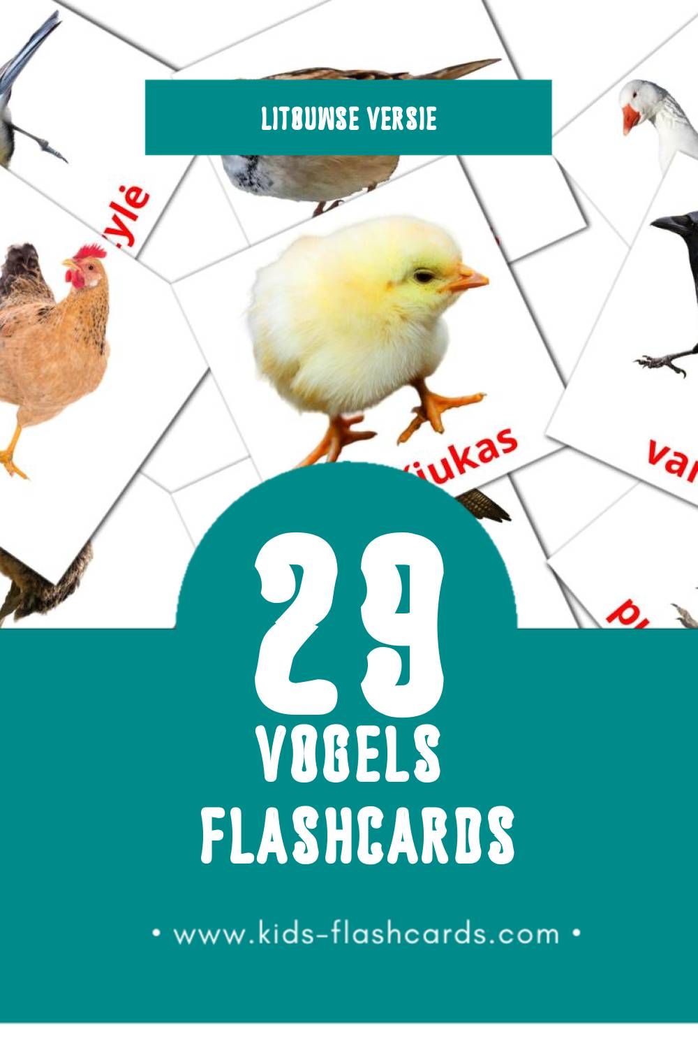 Visuele Paukščiai Flashcards voor Kleuters (29 kaarten in het Litouws)