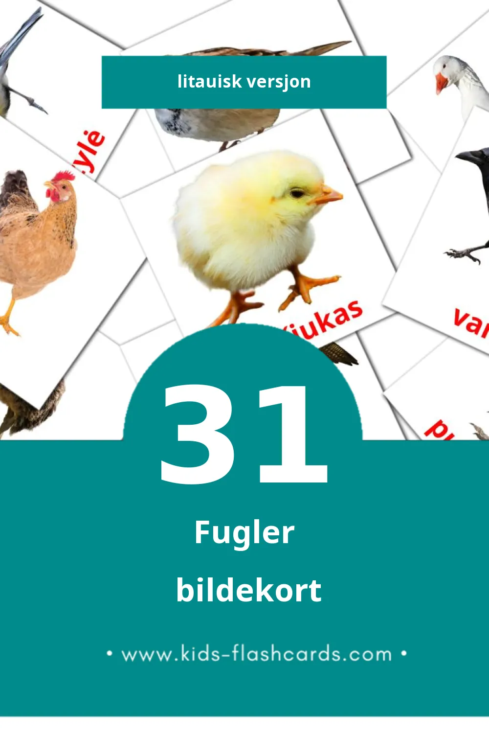 Visuelle Paukščiai bildekort for småbarn (31 kort på Litauisk)