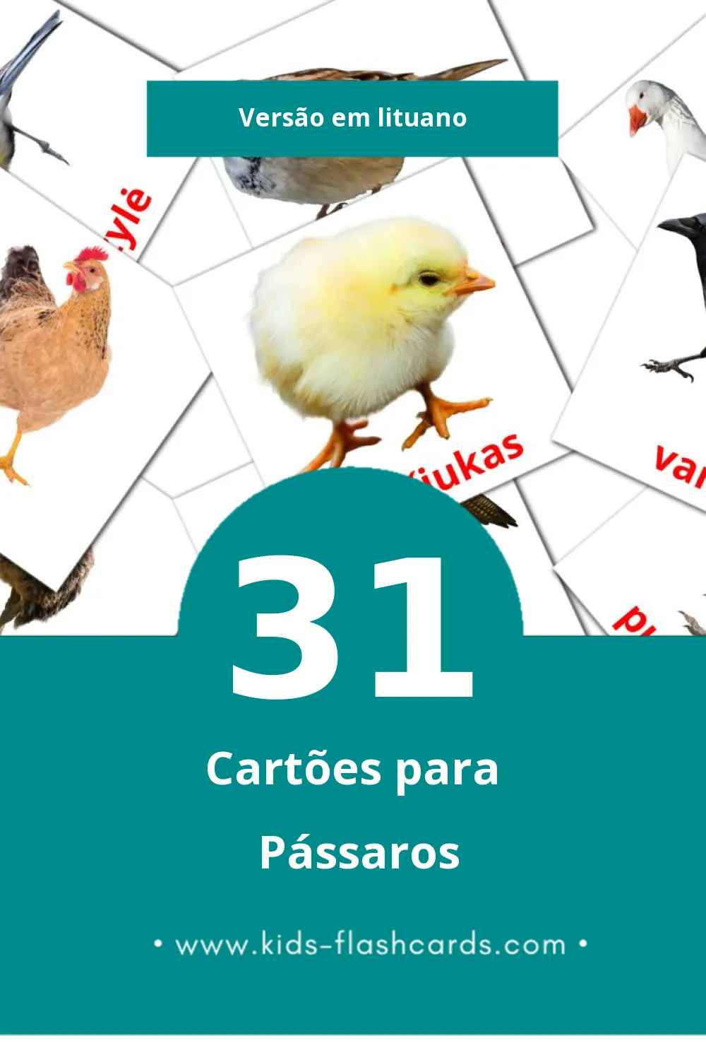 Flashcards de Paukščiai Visuais para Toddlers (31 cartões em Lituano)