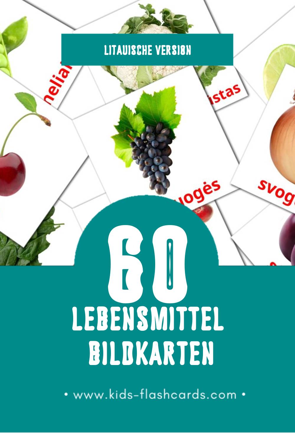 Visual Maistas Flashcards für Kleinkinder (60 Karten in Litauisch)