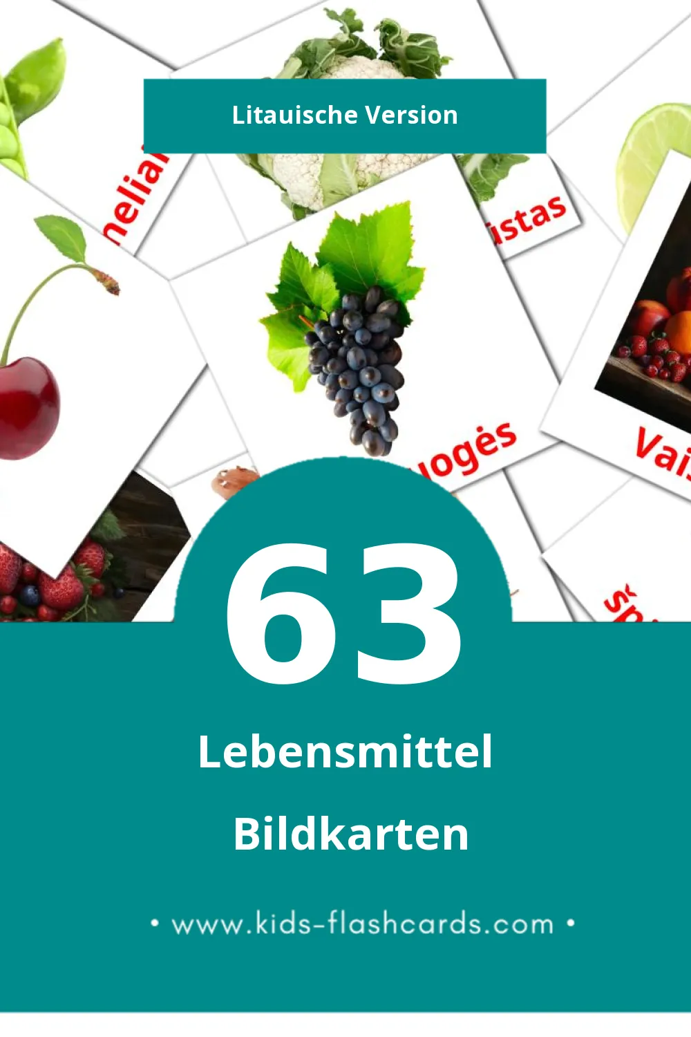 Visual Maistas Flashcards für Kleinkinder (63 Karten in Litauisch)