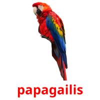 papagailis picture flashcards