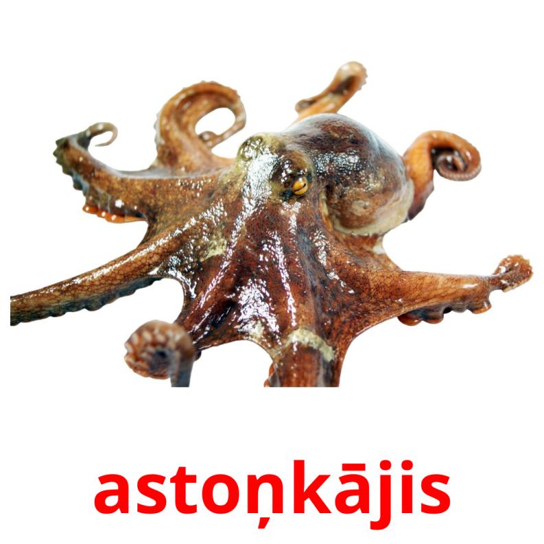 astoņkājis Tarjetas didacticas