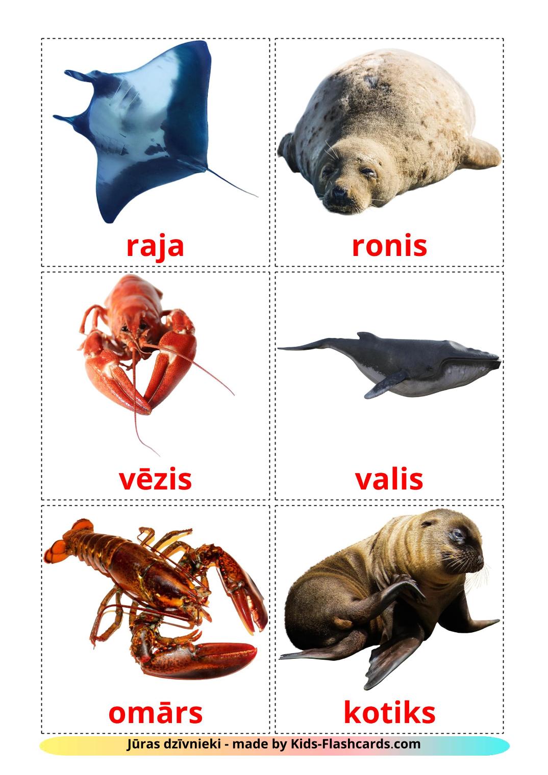 Sea animals - 29 Free Printable latvian Flashcards 