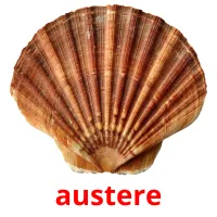 austere Bildkarteikarten