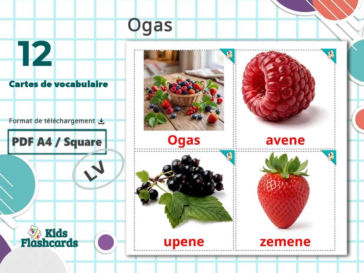 12 Cartes de Vocabulaire pour Enfants GRATUITES Baies à Imprimer en ...