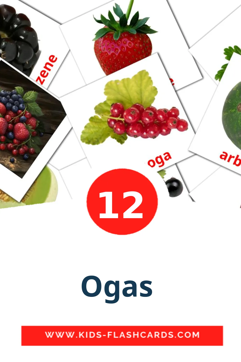 12 Ogas  fotokaarten voor kleuters in het lets