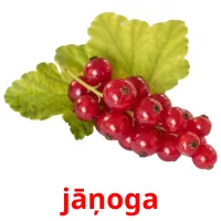 jāņoga ansichtkaarten