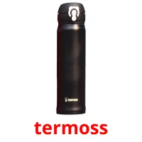 termoss ansichtkaarten