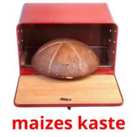 maizes kaste picture flashcards