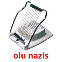 olu nazis flashcards illustrate