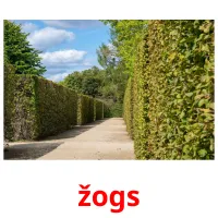 žogs ansichtkaarten