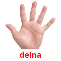 delna picture flashcards