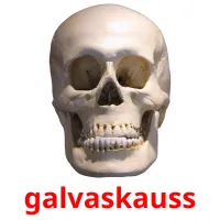 galvaskauss picture flashcards