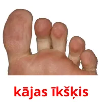 kājas īkšķis picture flashcards