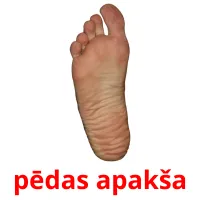 pēdas apakša picture flashcards