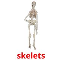 skelets card for translate