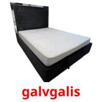 galvgalis picture flashcards