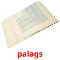 palags flashcards illustrate