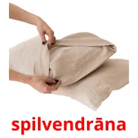 spilvendrāna ansichtkaarten