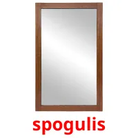 spogulis picture flashcards