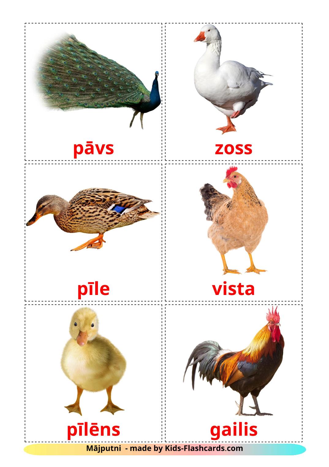 Farm birds - 11 Free Printable latvian Flashcards 