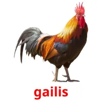 gailis Tarjetas didacticas