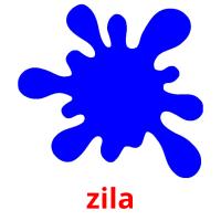 zila card for translate