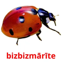 bizbizmārīte Bildkarteikarten