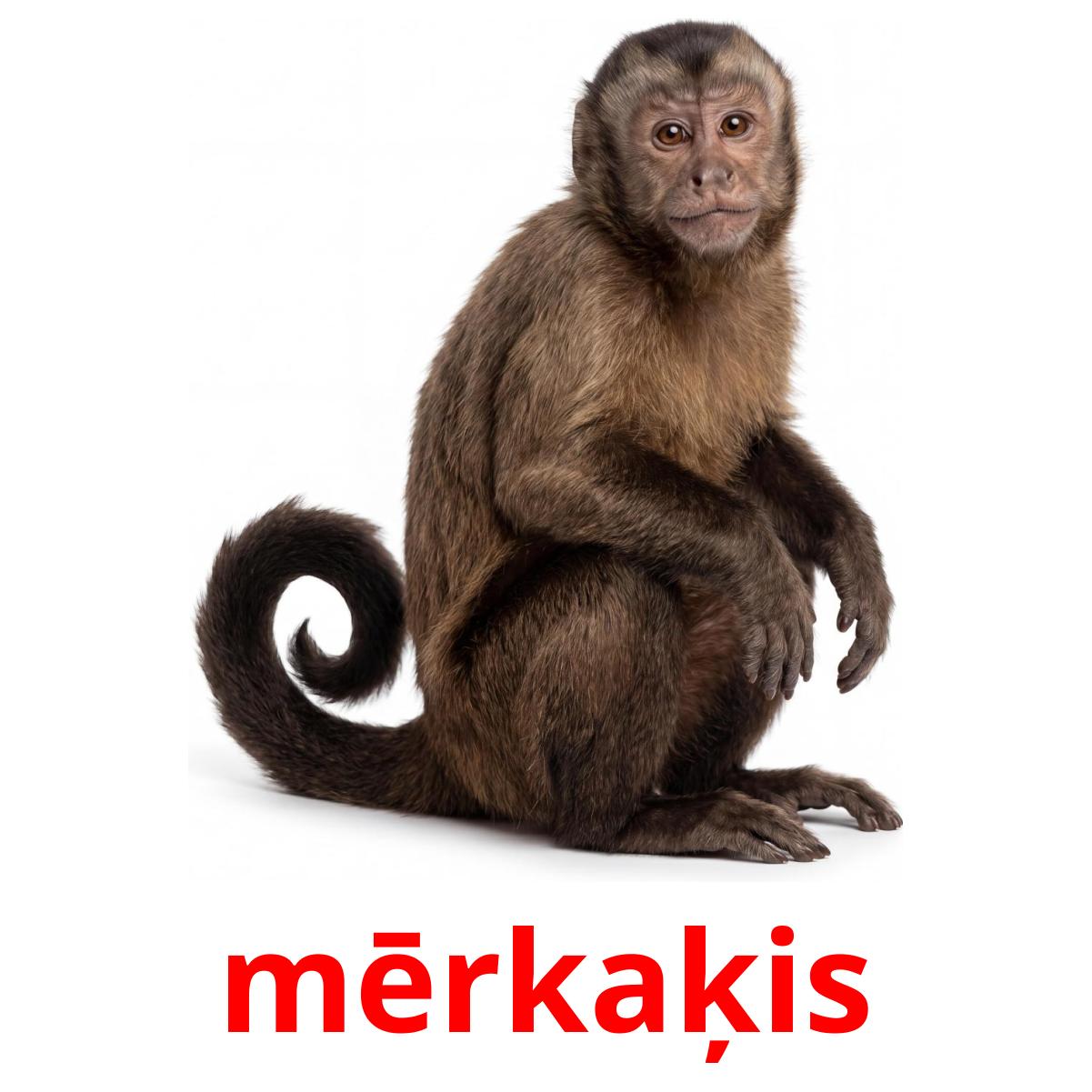 Letón 22 Tarjetas de Aprendizaje de Animales de la Selva GRATIS en PDF ...