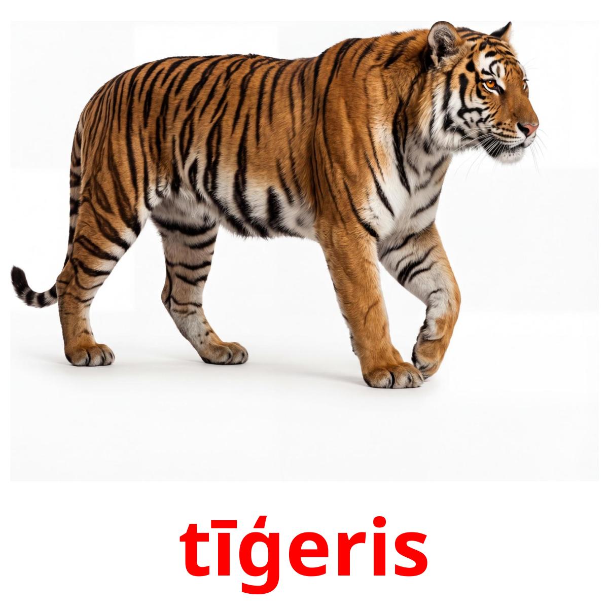 Letón 22 Tarjetas de Aprendizaje de Animales de la Selva GRATIS en PDF ...