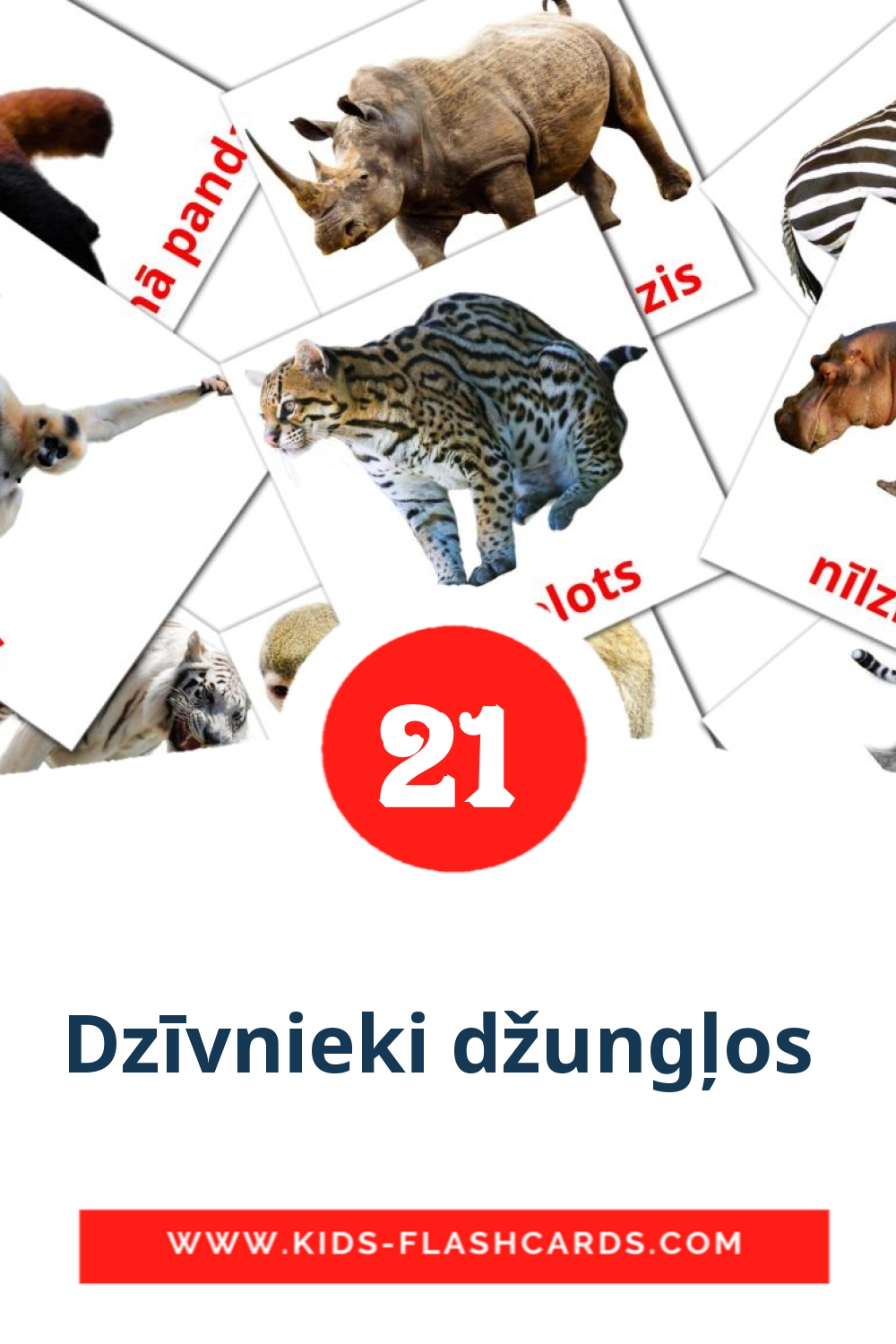 21 cartes illustrées de Dzīvnieki džungļos  pour la maternelle en letton