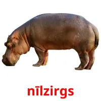 nīlzirgs ansichtkaarten