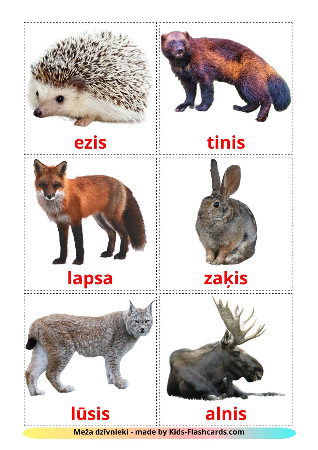 Animali della foresta - 22 flashcards lettone stampabili gratuitamente