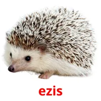 ezis ansichtkaarten