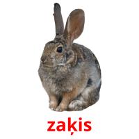 zaķis picture flashcards