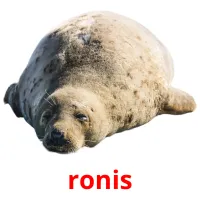 ronis ansichtkaarten